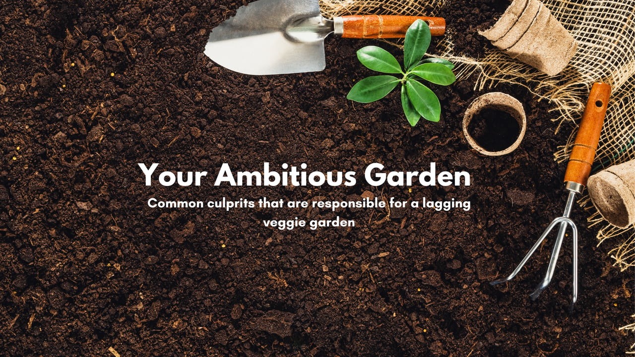  Your Ambitious Garden