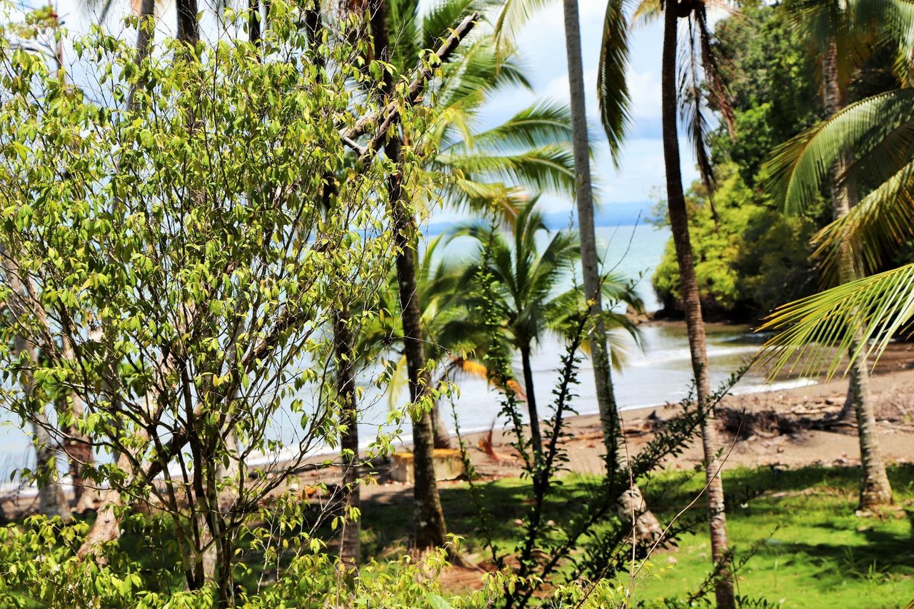 Private Beachfront Development Land, Ojochal, Puntarenas