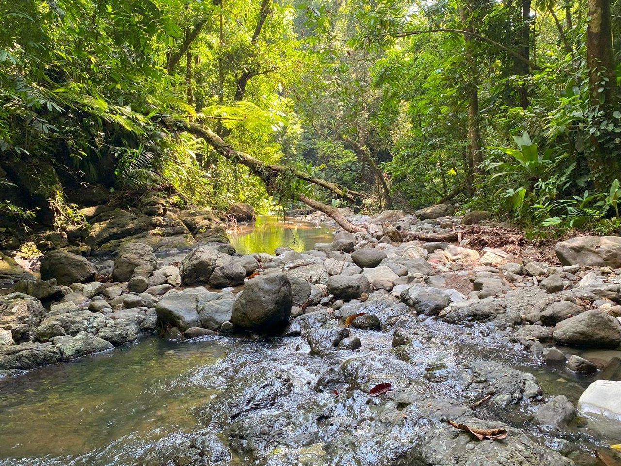 Mountain River View Farm, Osa, Puntarenas