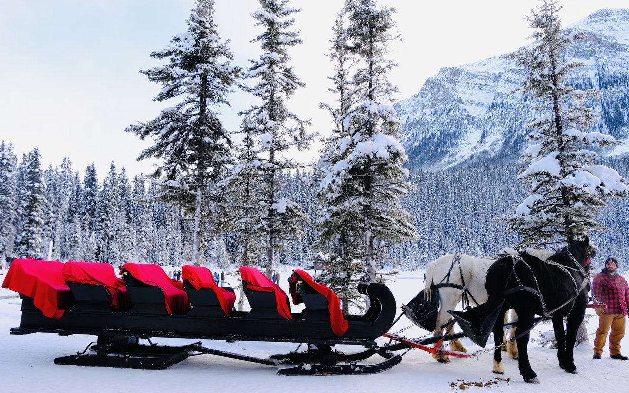 Top Winter Activities in The Colony at White Pine Canyon