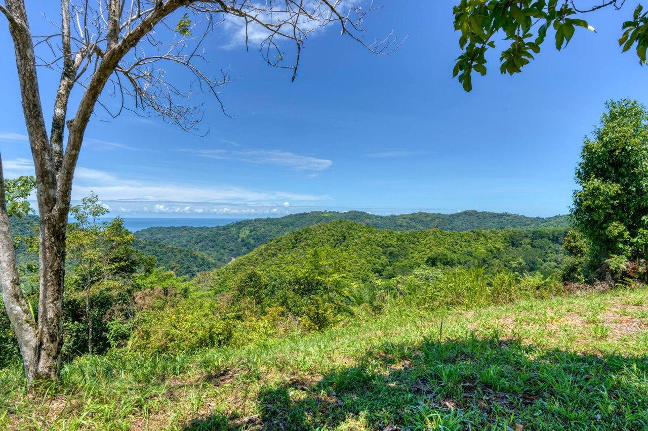 Waterfall Ocean View Land, Dominical, Puntarenas