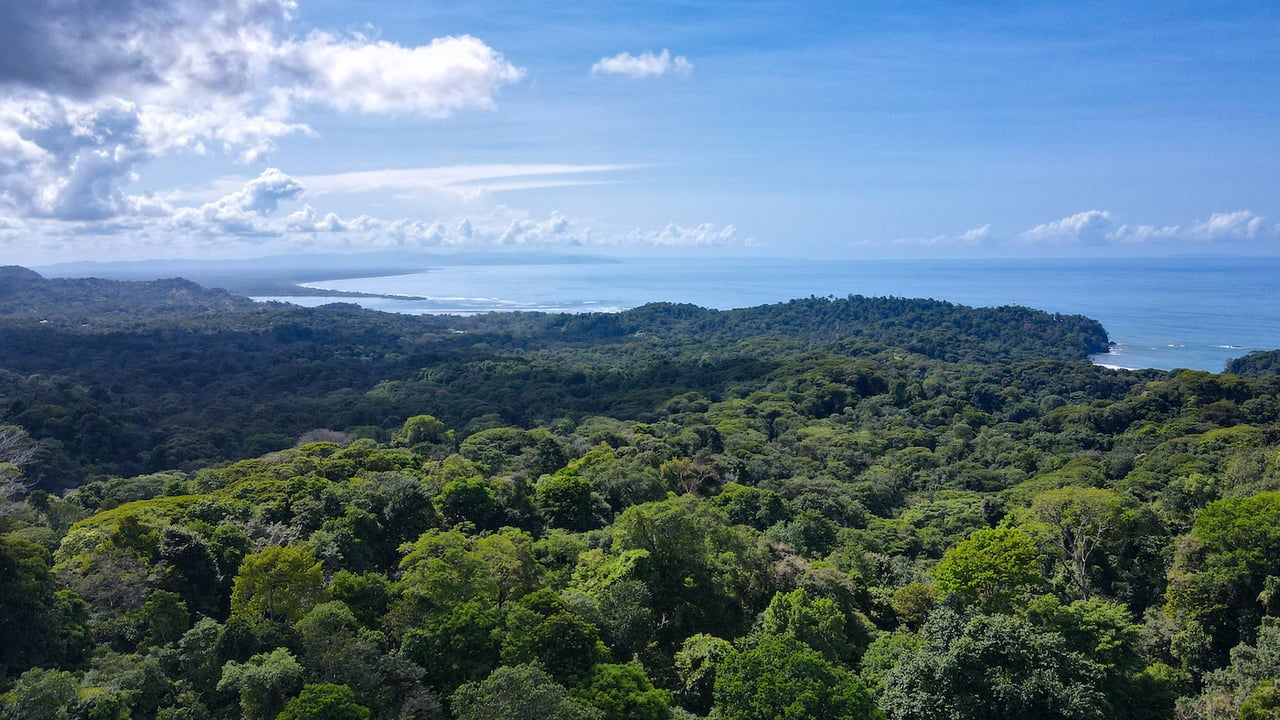 Ocean View Estate Guesthouse, Ojochal, Puntarenas