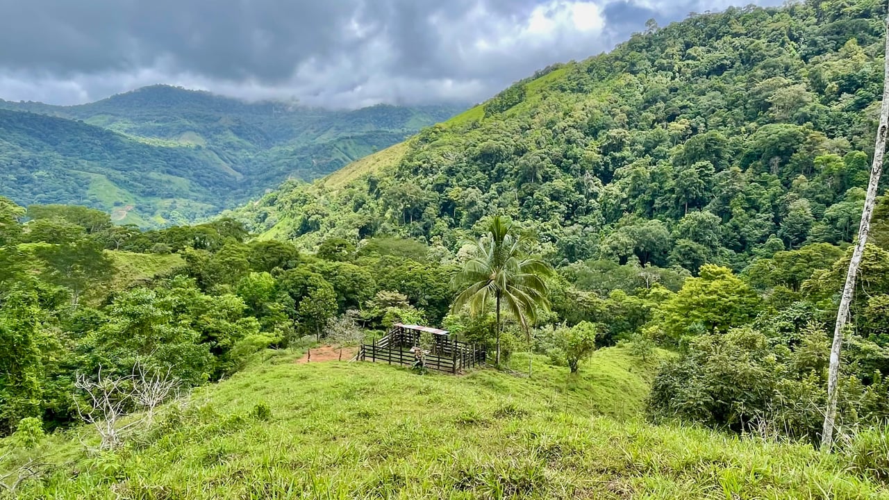 Over 123 Acres Farm in San Josecito De Morete, in Uvita Mountains