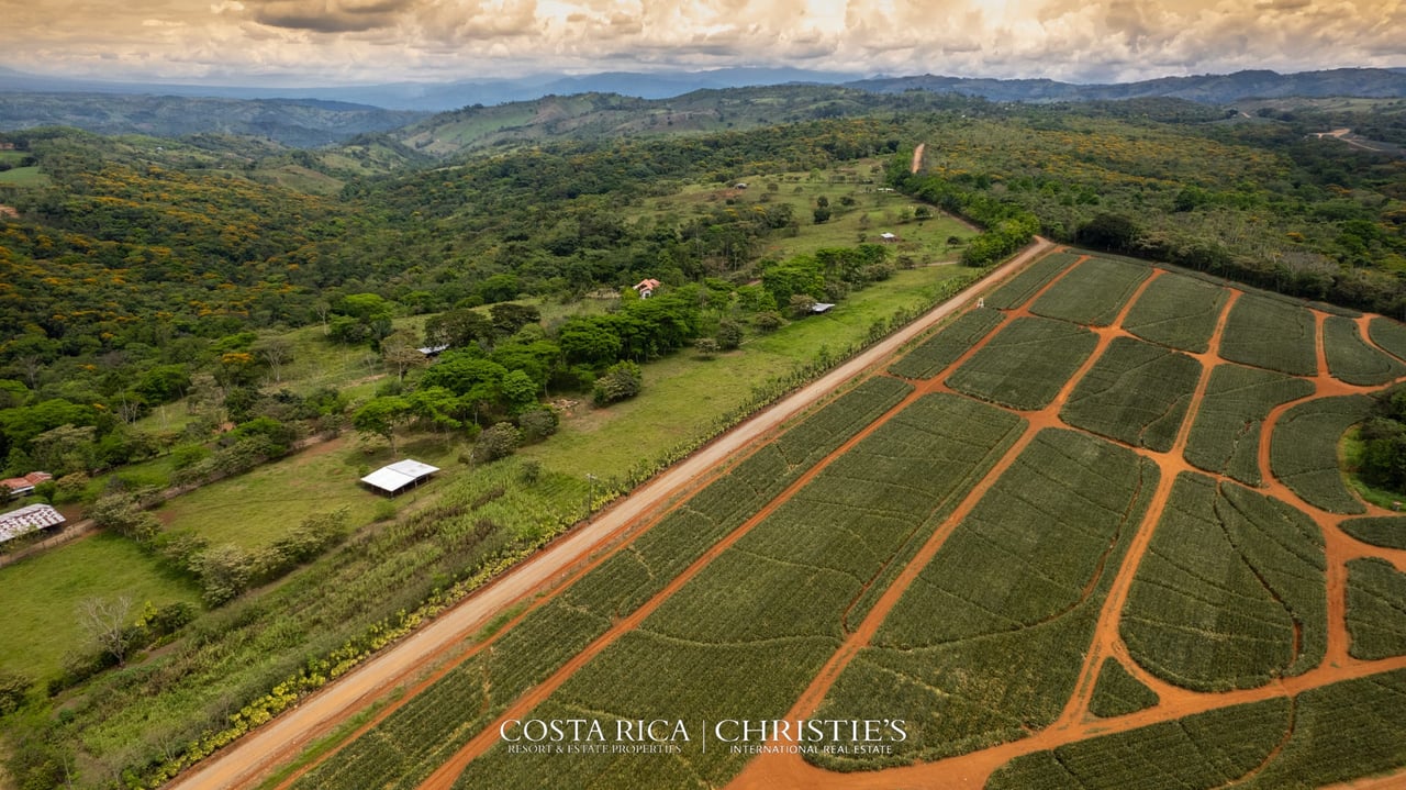 Finca Buenos Aires