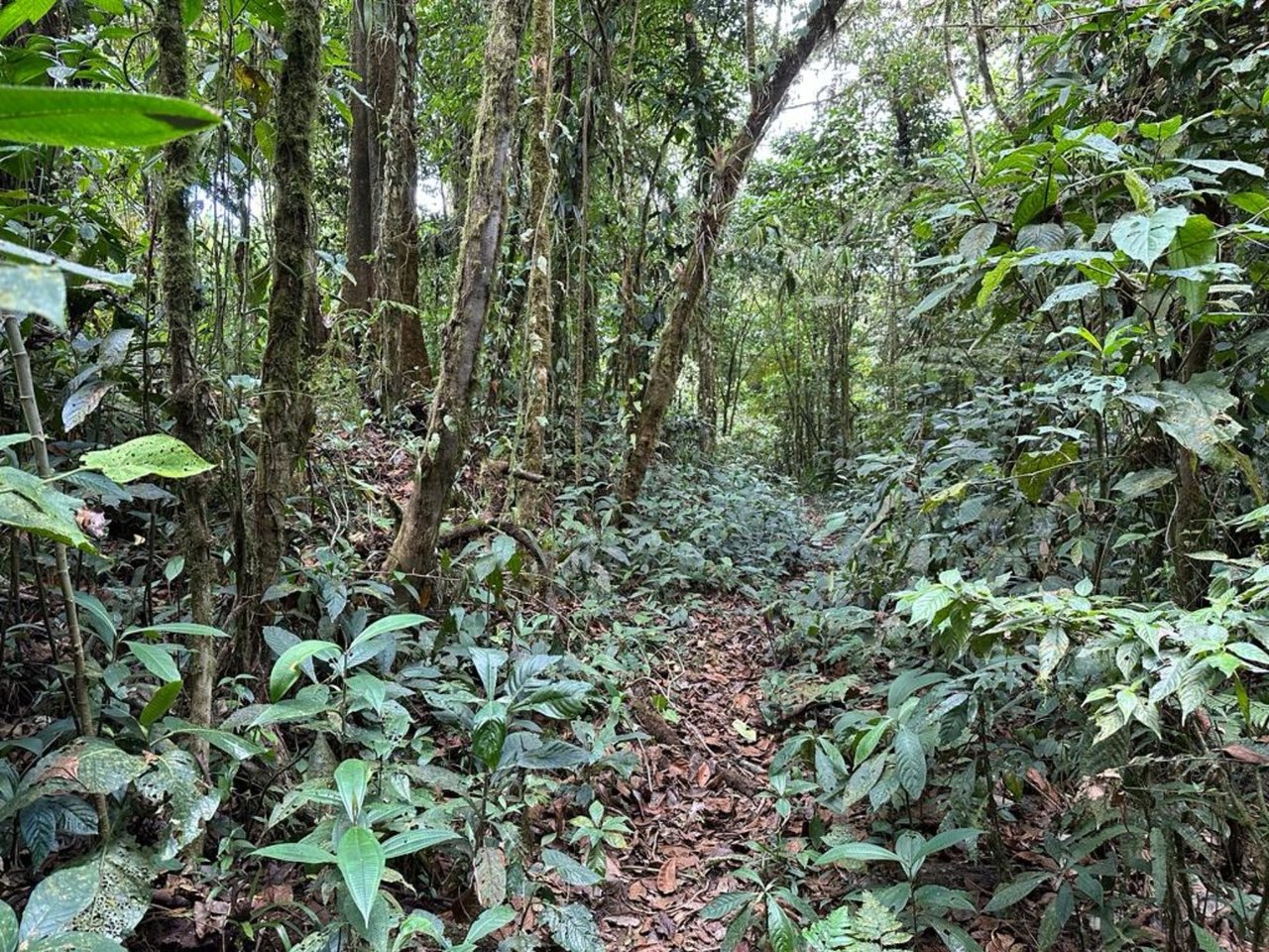 Prestigious Ocean View Development Land, Dominical, Puntarenas
