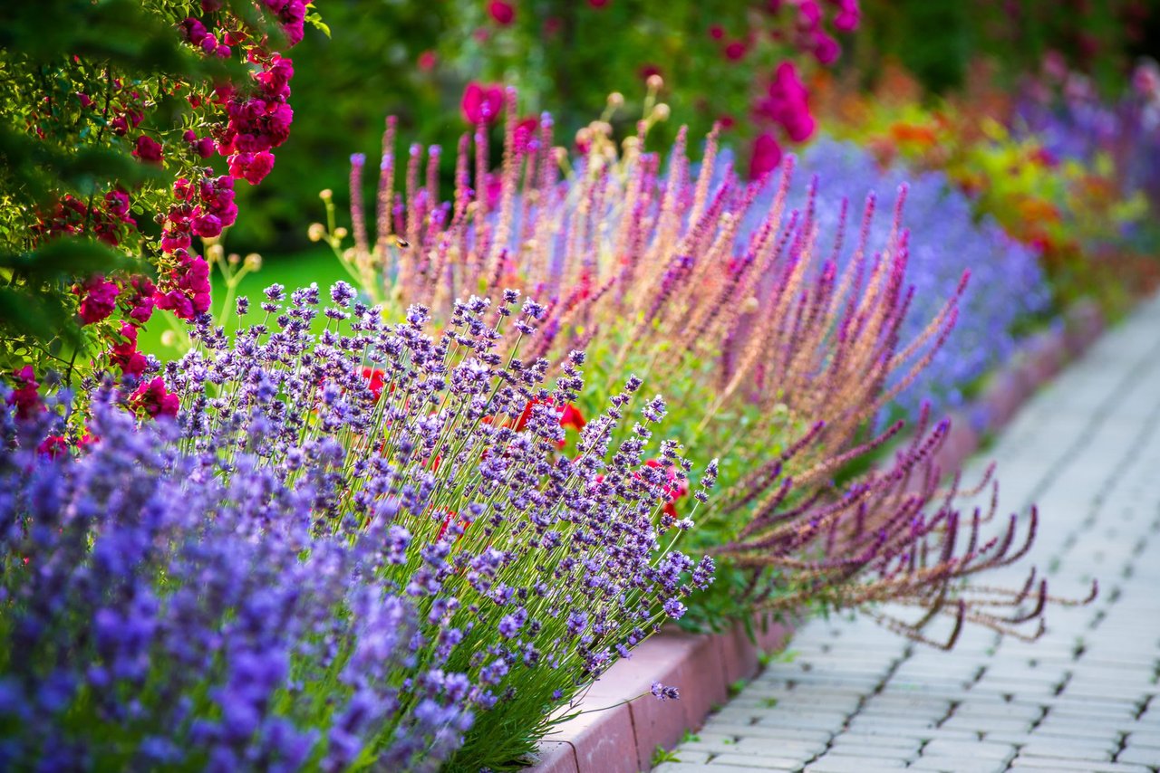 Landscaping on a Budget: Cheap Ways to Make Your Yard Beautiful