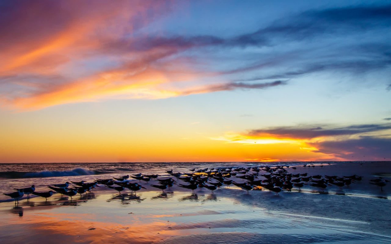 Enjoy A Day in the Life on Lido Key: From Sunrise to Sunset