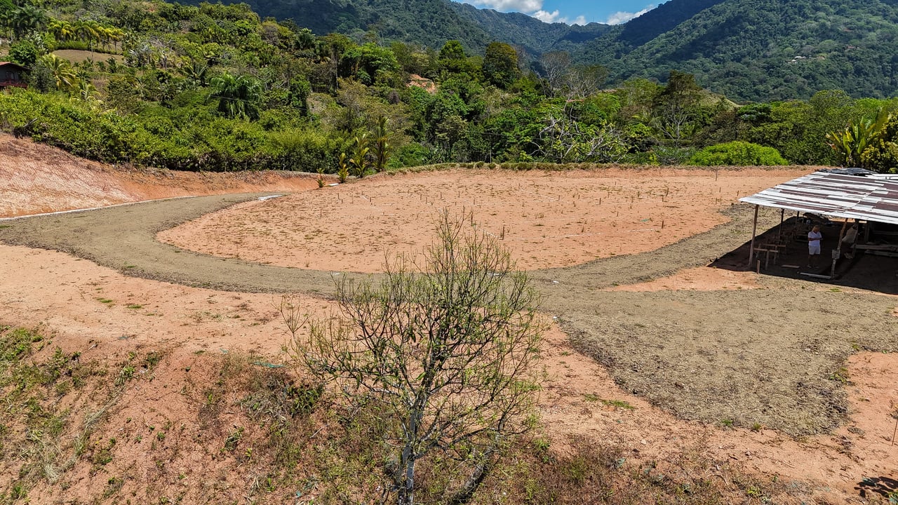 An elevated, prepared river lot with 360-degree ocean, mountain, valley and jungle views