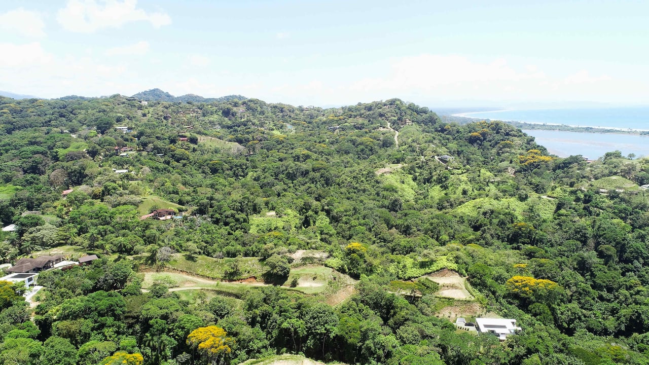 Over One Acre Attractive Lot on the Popular PEREZOSO Road.