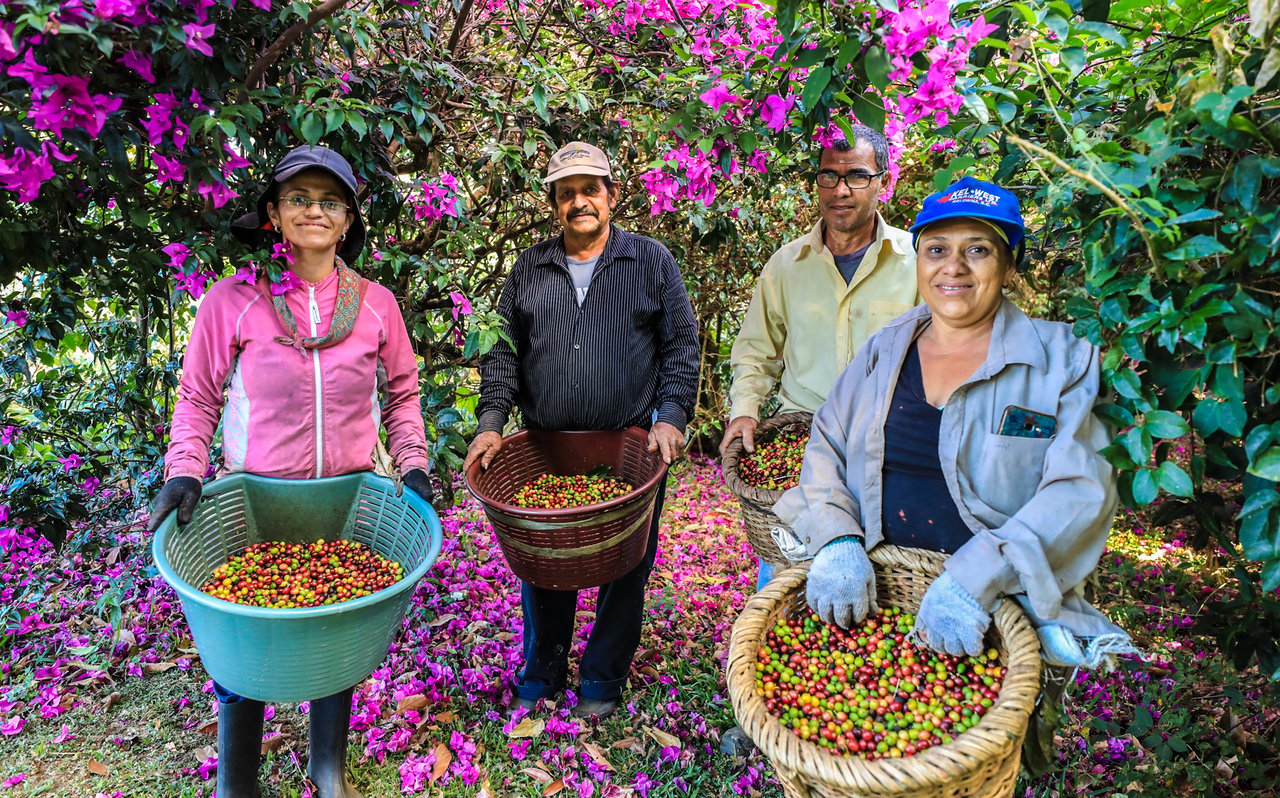 Historic Coffee Farm Estate, Heredia
