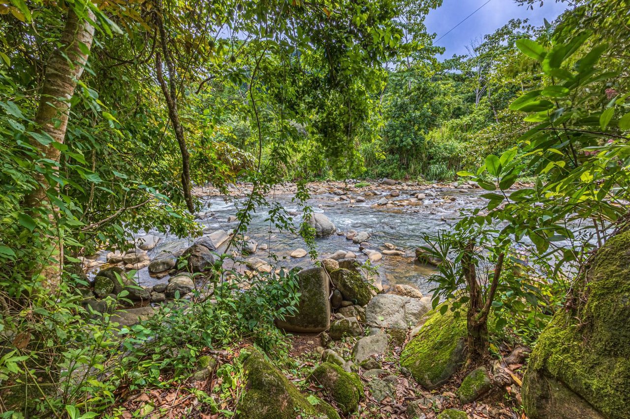 Uvita, Jungle Retreat Center on the Uvita River. Private and 17 Acres