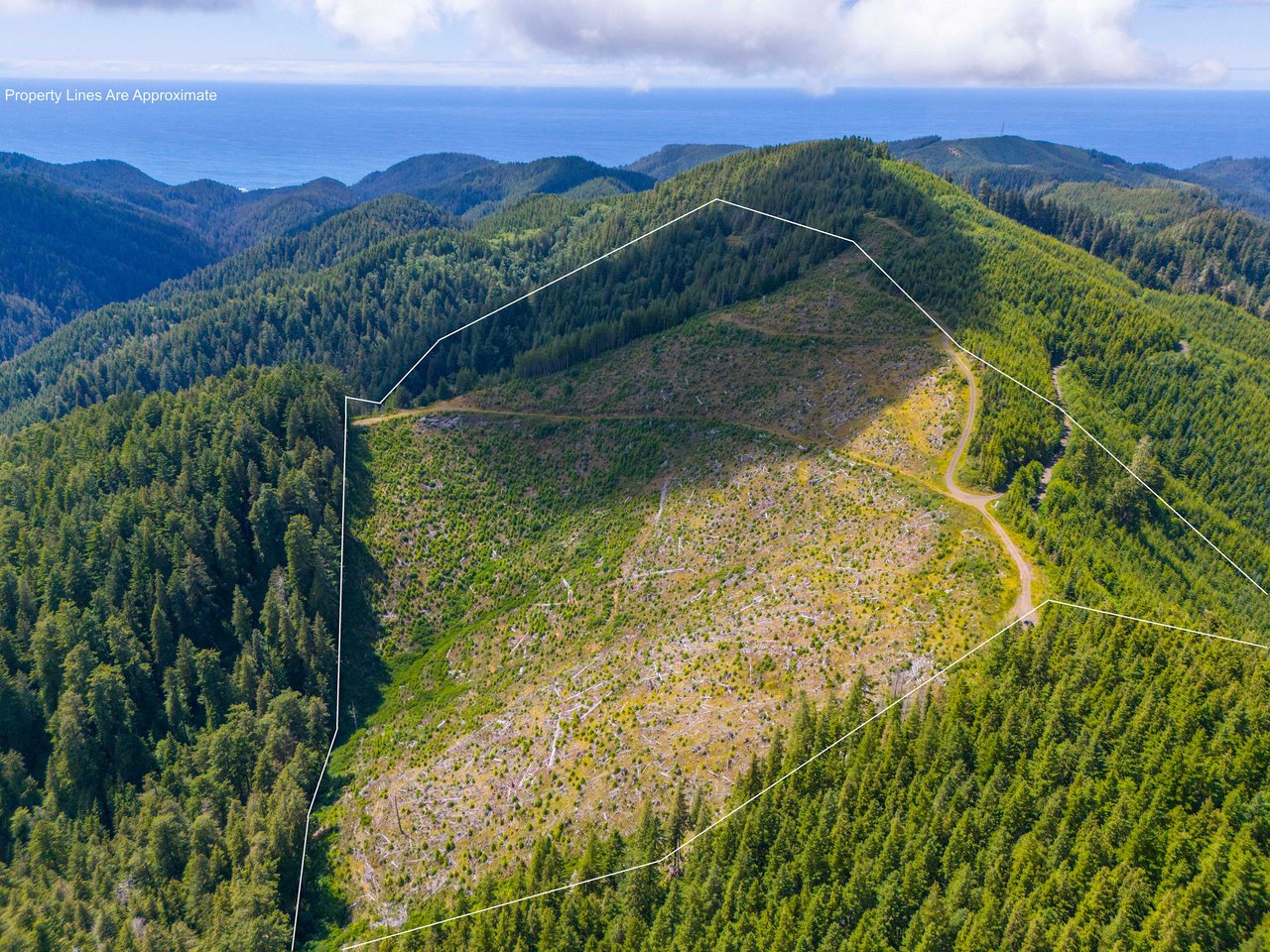 Cummins Creek Wilderness Overlook