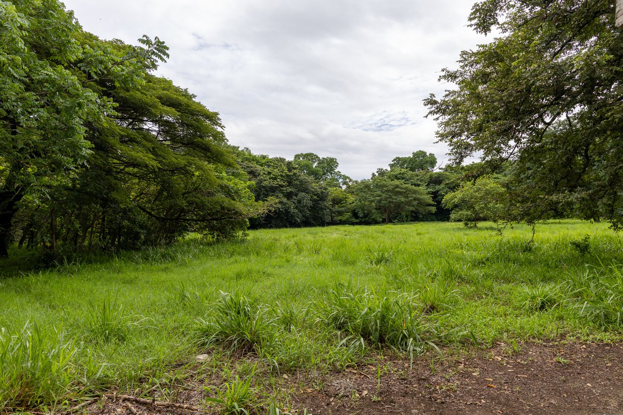 Expansive Fertile Mountain Ranch, Flamingo, Guanacaste