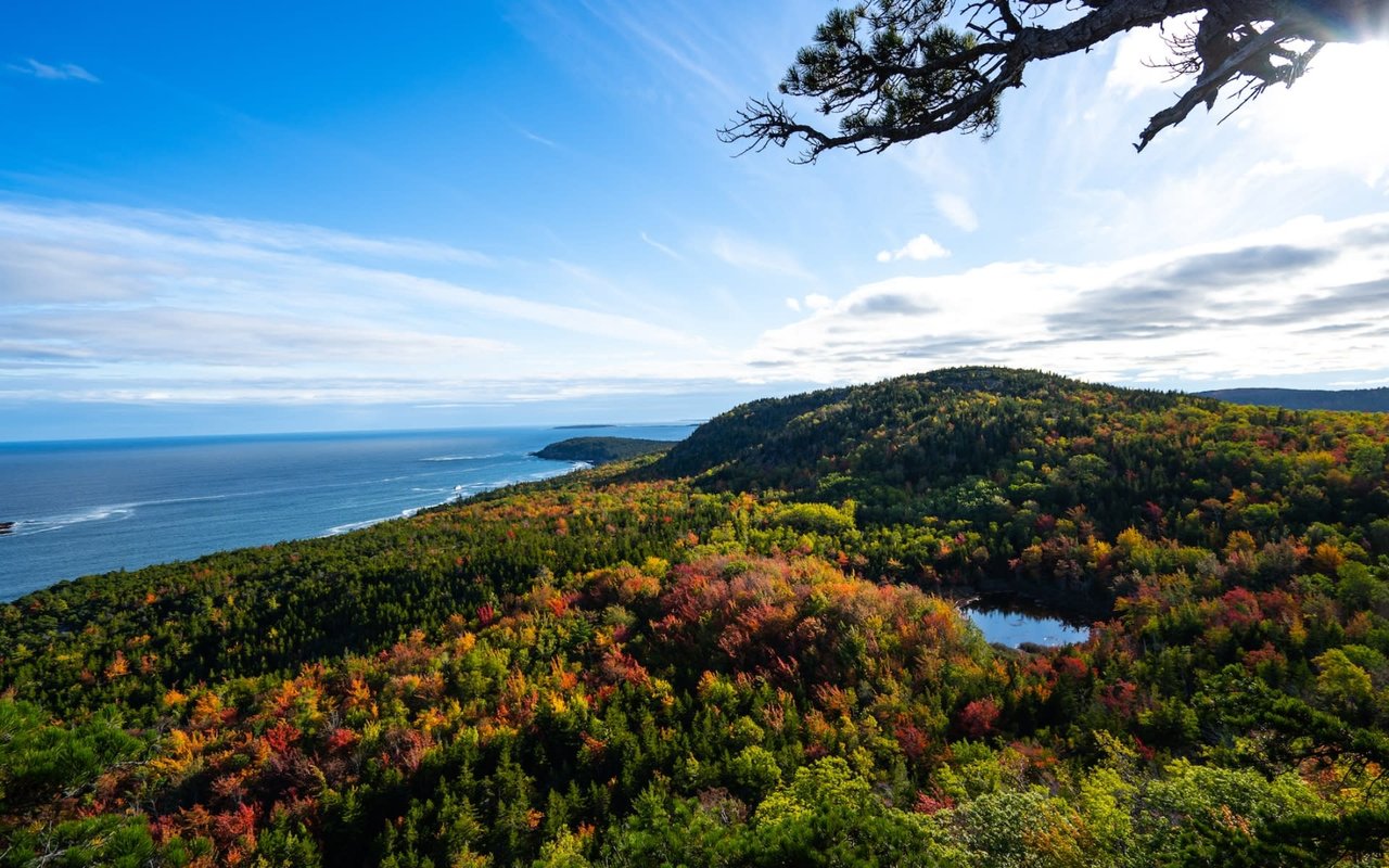 Bar Harbor