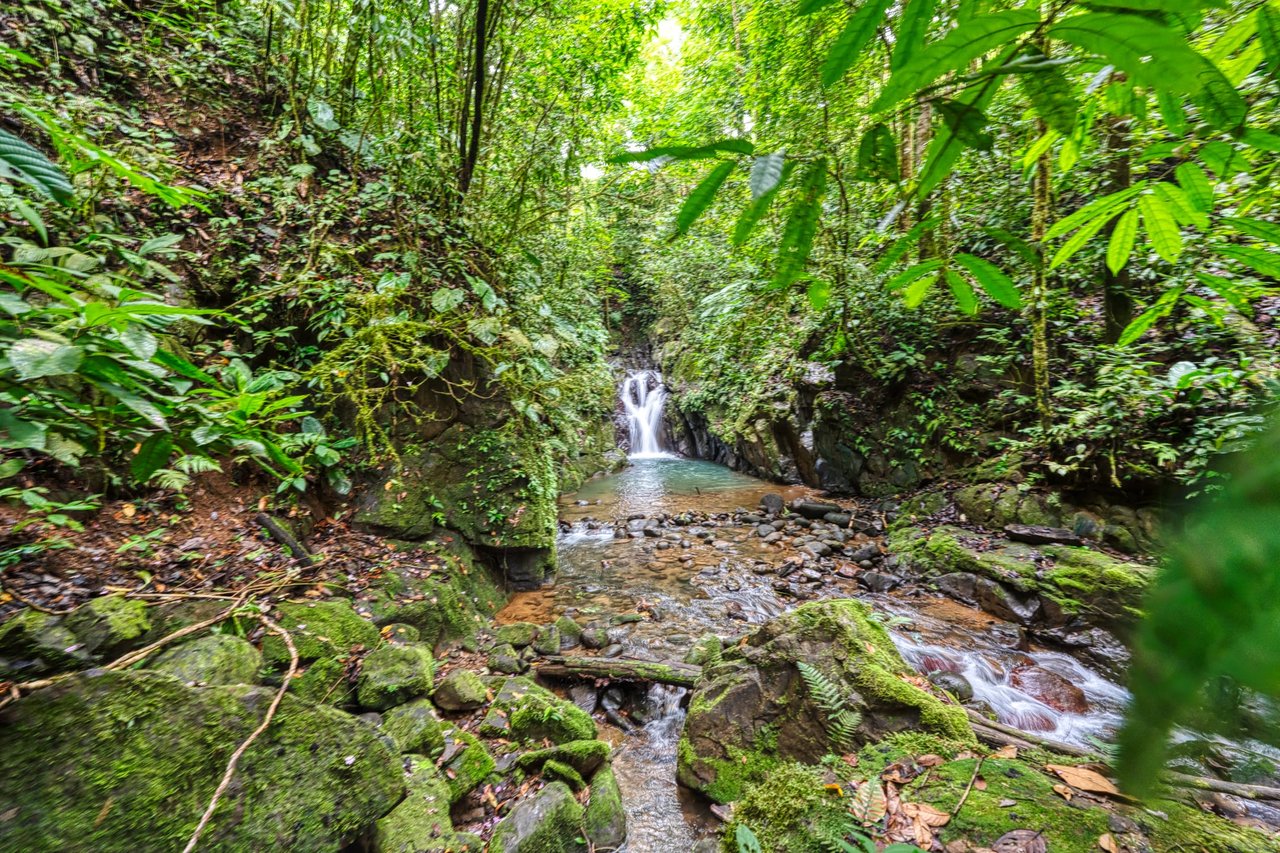 Waterfall, 3 Bedroom Ocean View Dream Home