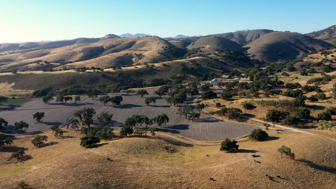 Rancho La Laguna