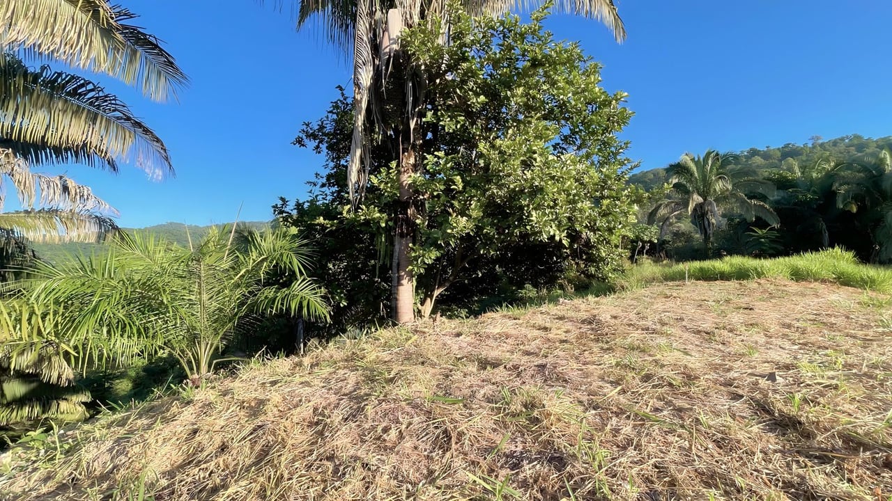  Exclusive Hermosa 1.2 Acre Lot with Panoramic Mountains and Ocean View. 