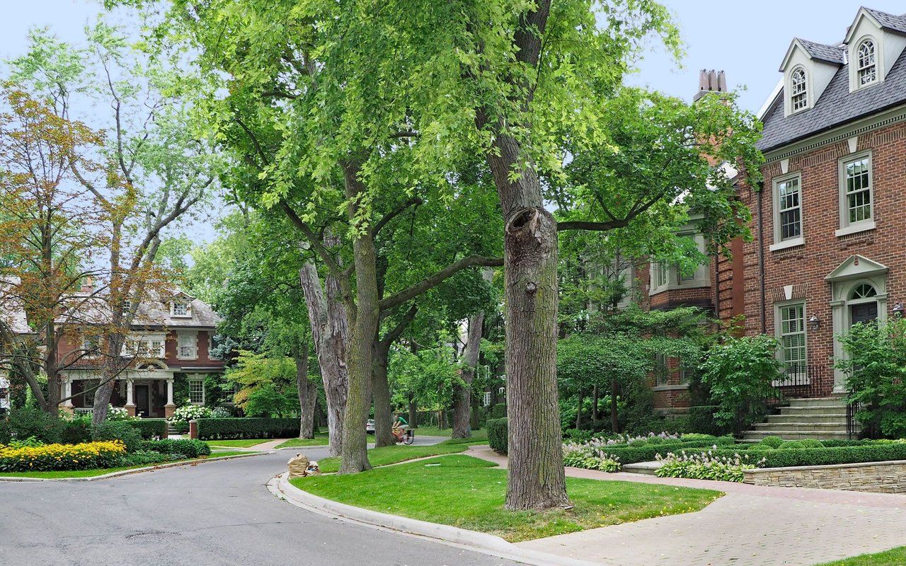 Forest Hill