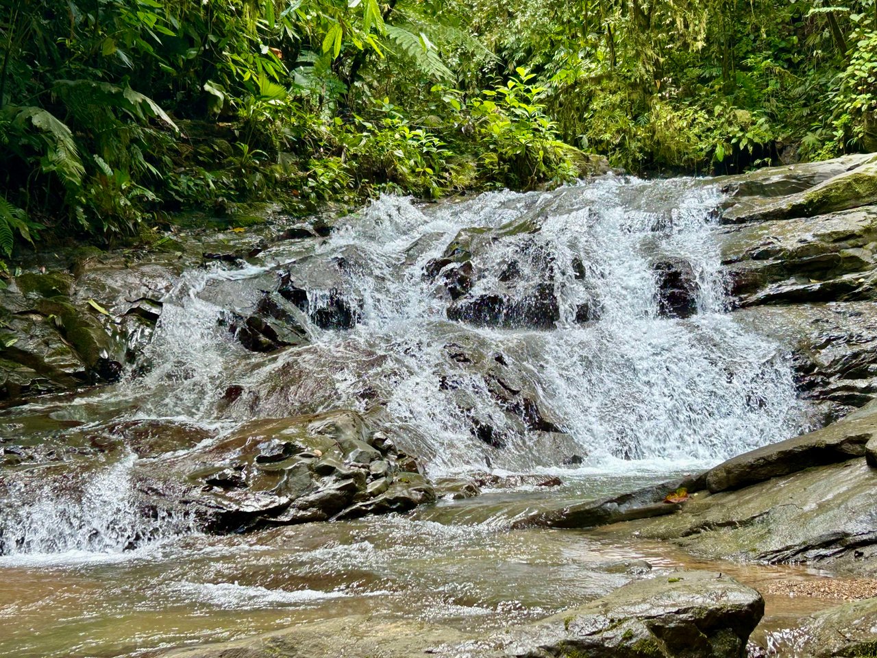 Over 123 Acres Farm in San Josecito De Morete, in Uvita Mountains
