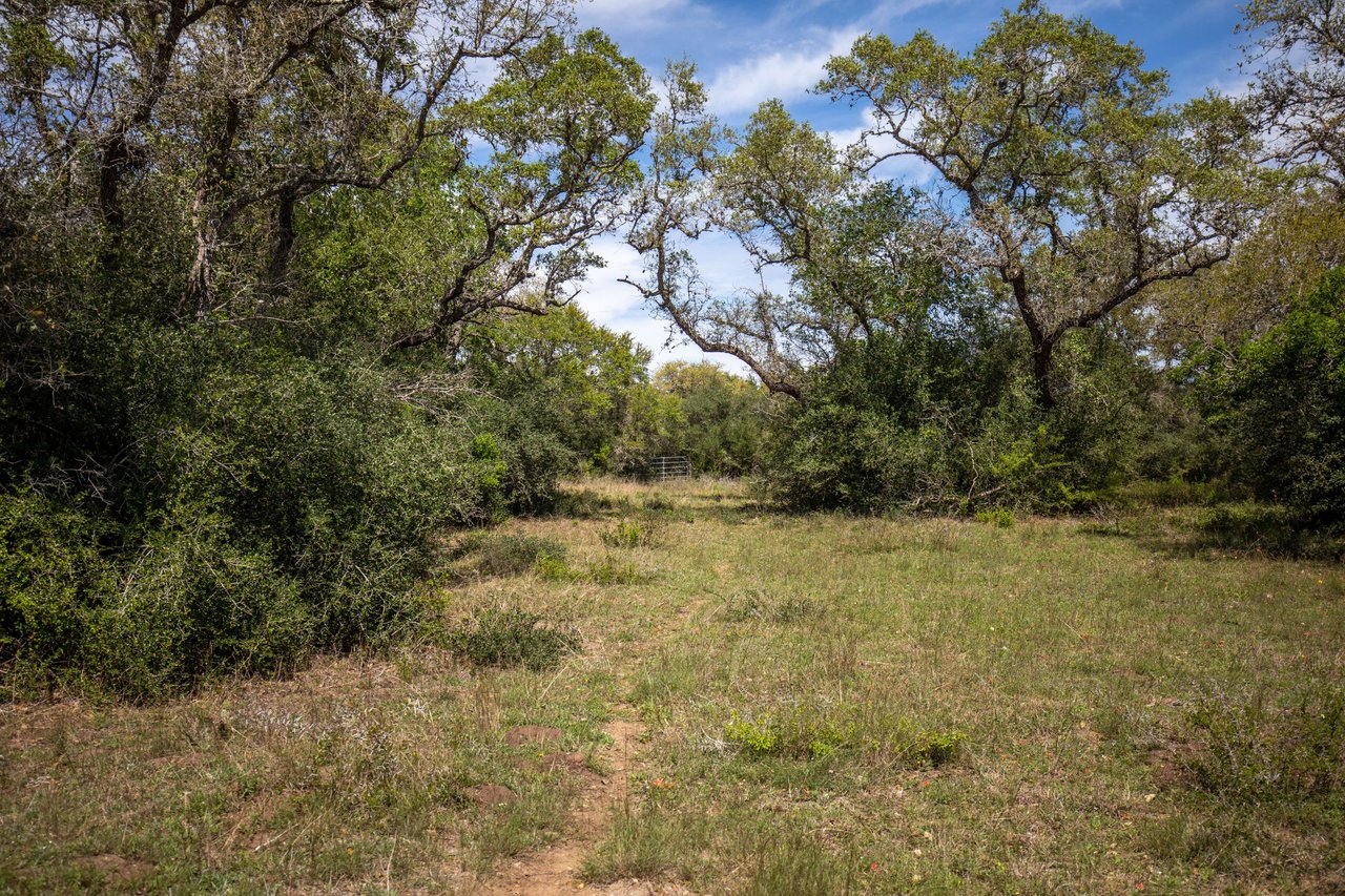 Weesatche 110 Acres