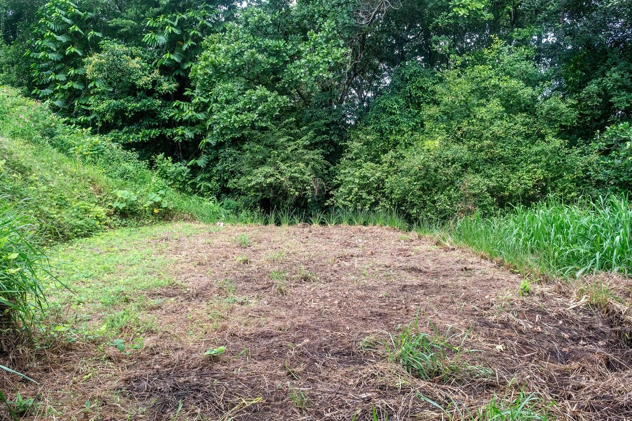 Tierra Bendita, 2.5 Acres of Usable Land with Exisiting Home and River Access!