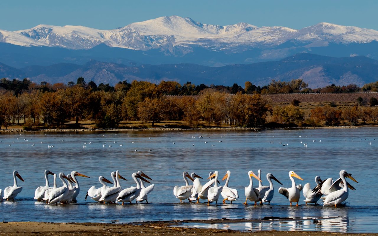 Cherry Creek