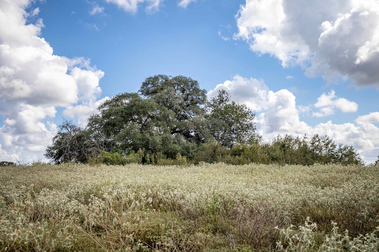 Lovers Lane River Ranch | 140± Acres | DeWitt County