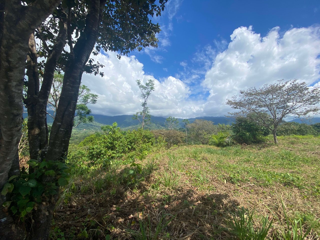 3.98 Acres, Ocean View Property In Finca Maranon With Legal Water! Ojochal 