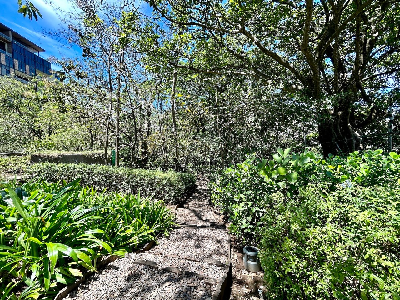 Customizable Mountain View Condo, Santa Ana, San Jose