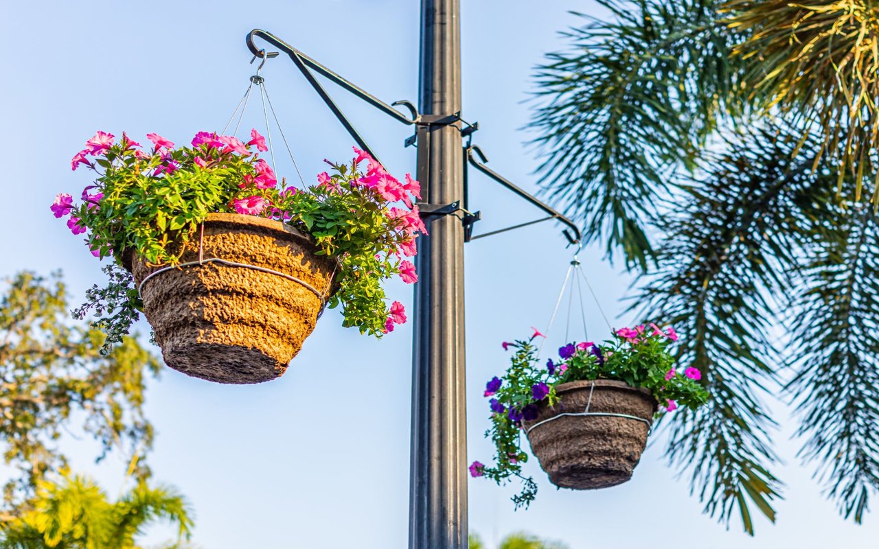 Finkelstein Real Estate Lighting the Night!