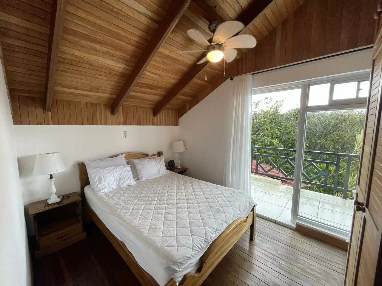 Adventure Tourism Development Land, Lake Arenal, Alajuela