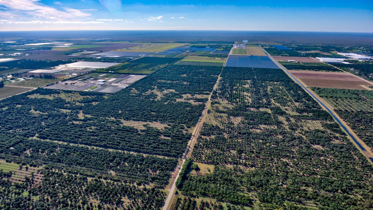 330 Acres of Avocado Groves