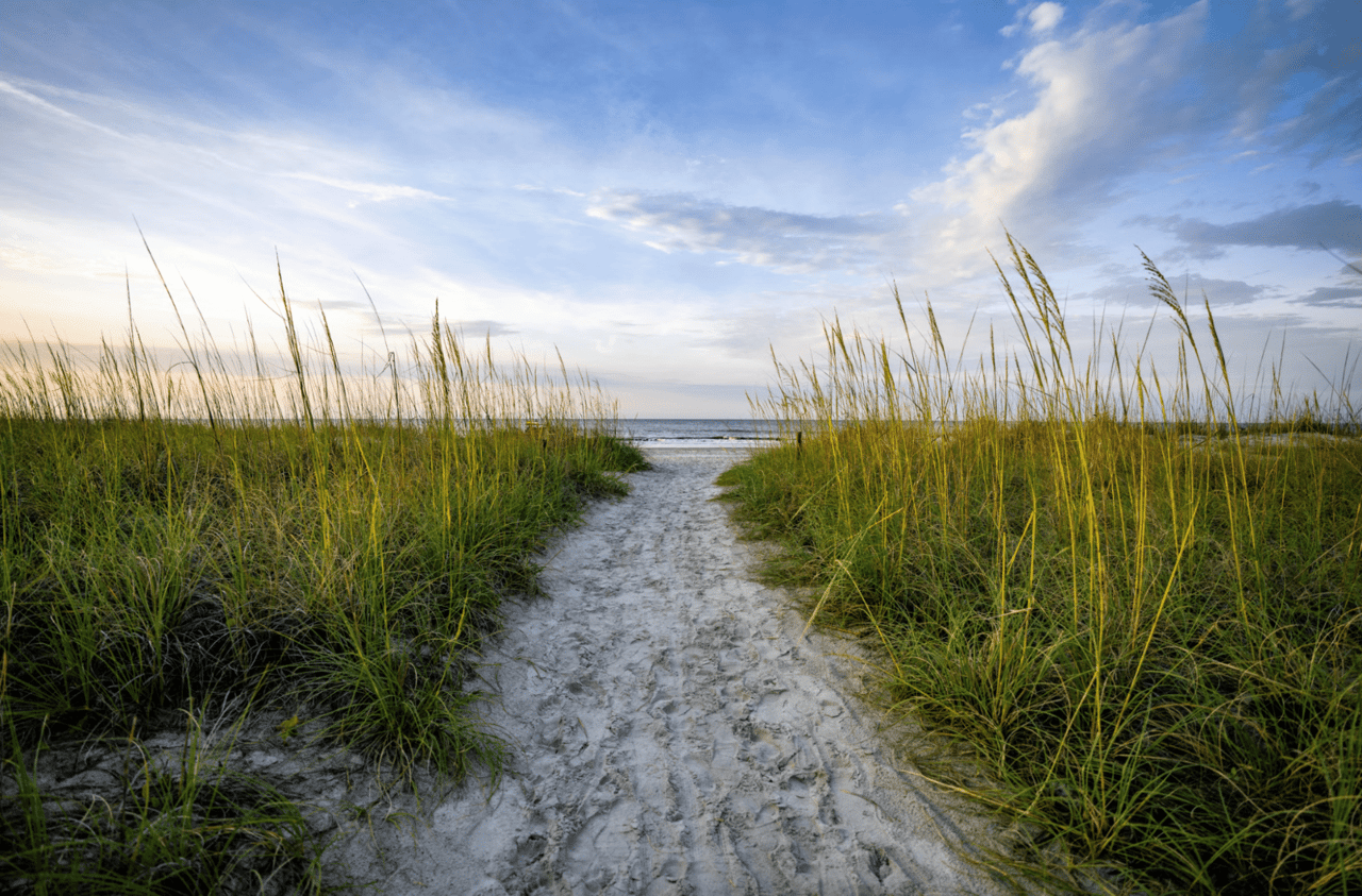 A Guide to Public Beaches in Hilton Head Island