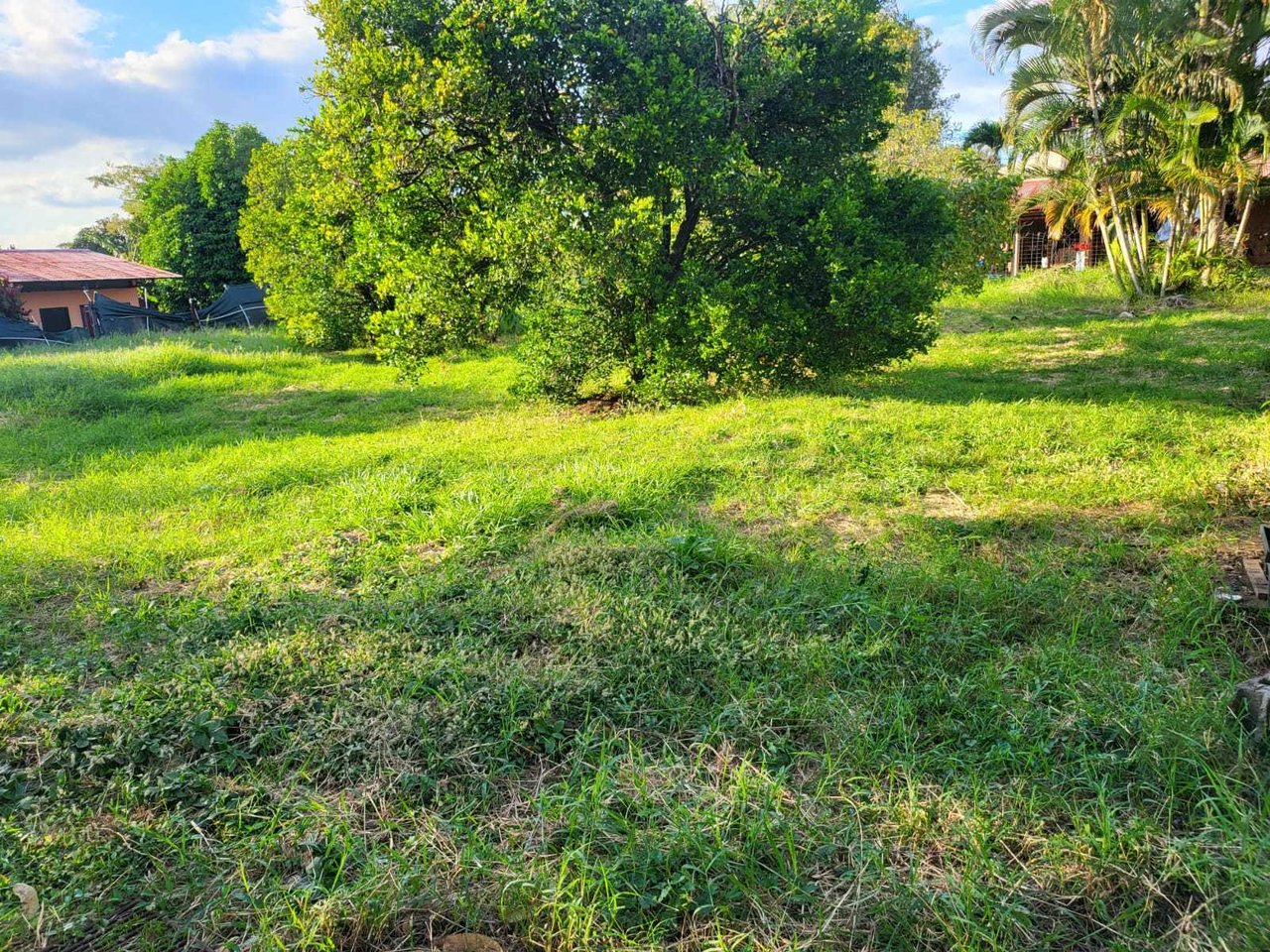 Commercial Development Land, Heredia