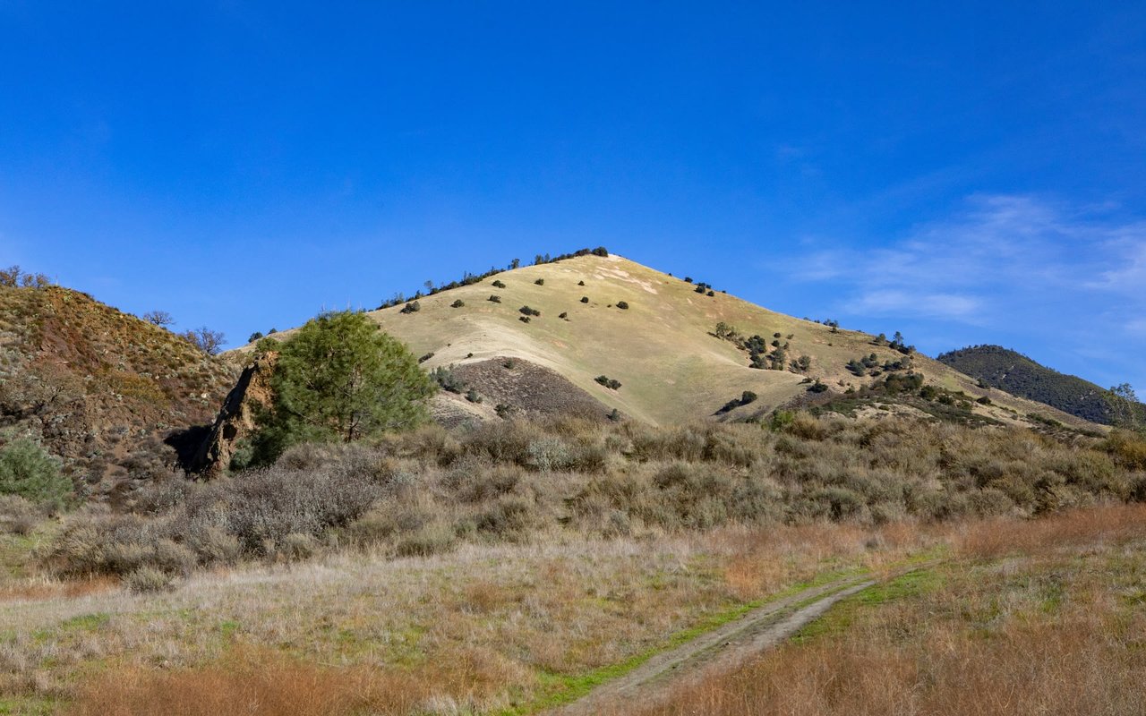Santa Ynez