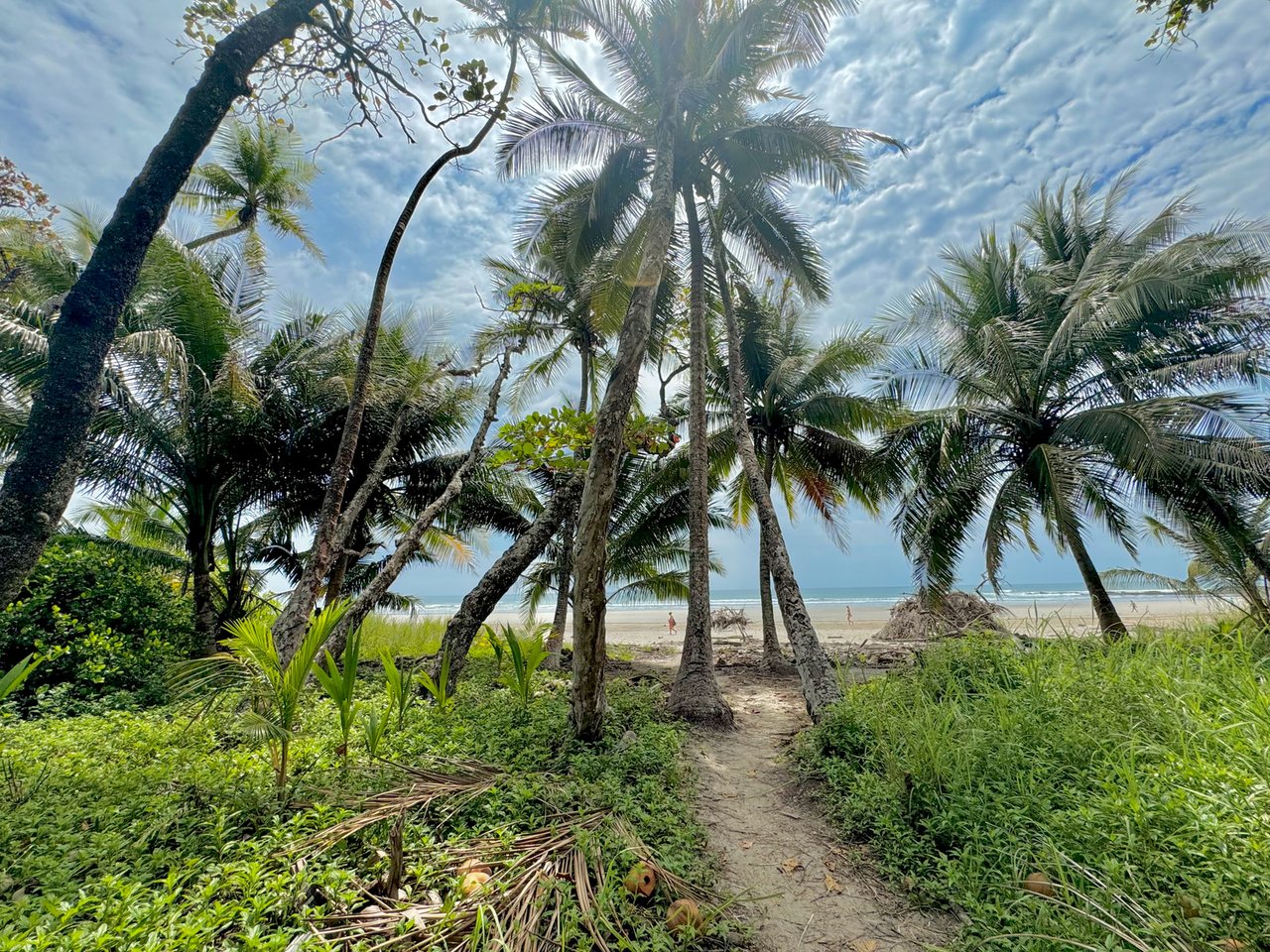 Premier Beachfront Concession Lot, Santa Teresa, Puntarenas