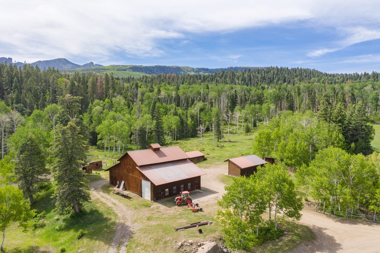 Mountain Bird Ranch