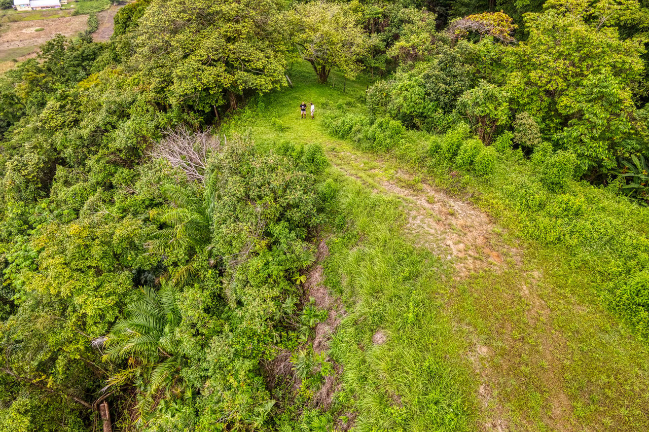 Coronado Estates Development Farm