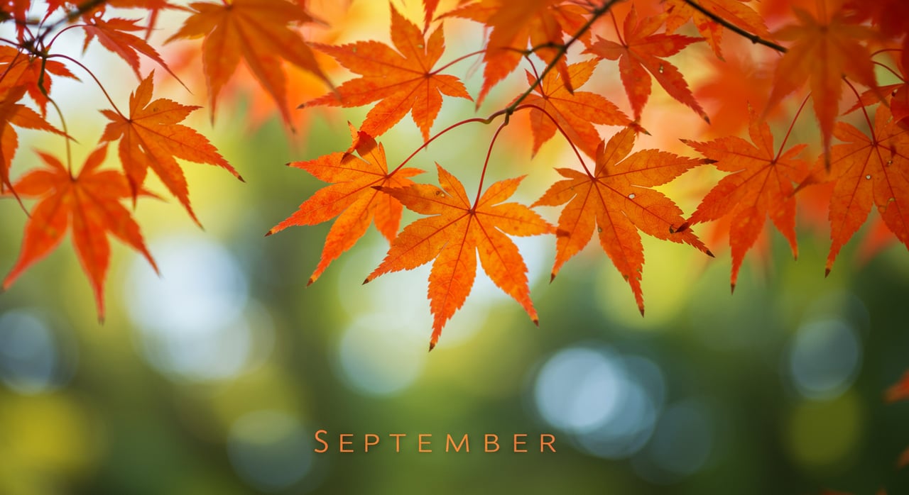 San Francisco Real Estate Market Update – September 2021