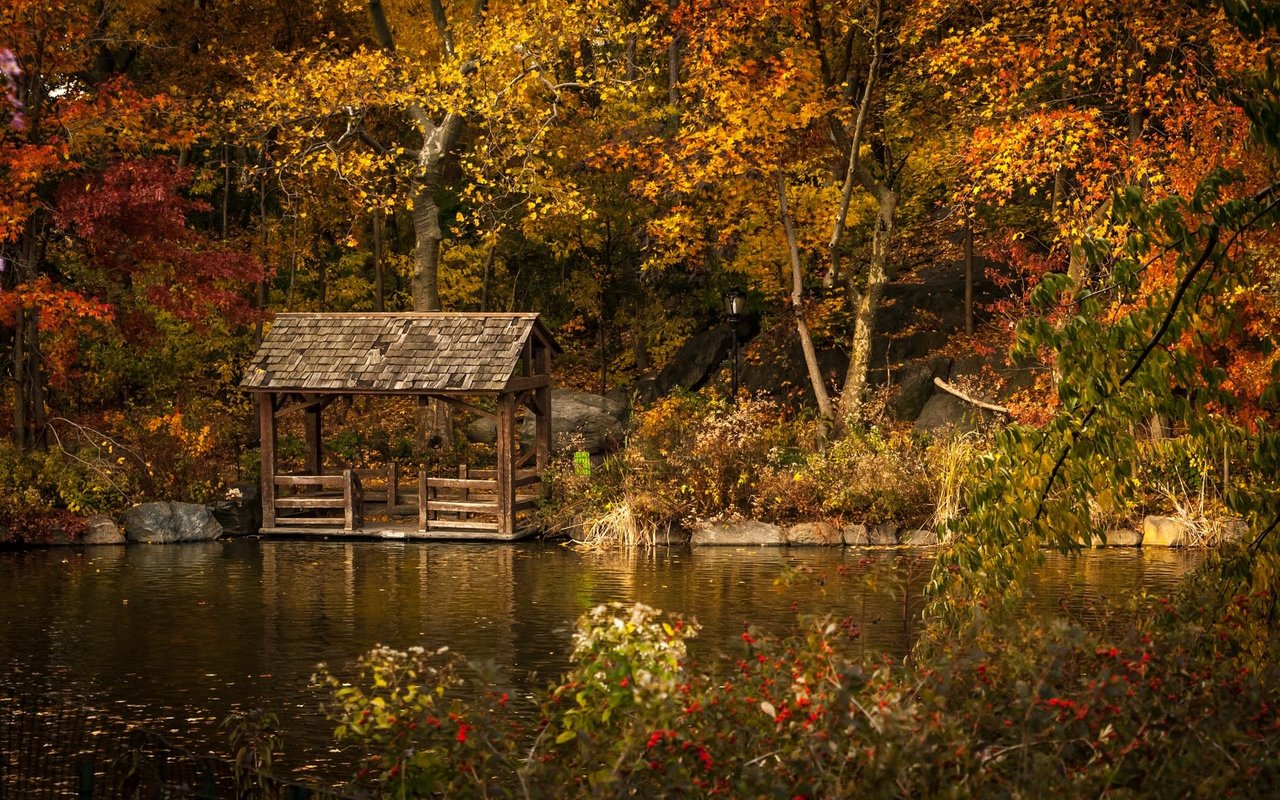 5 Reasons to Sell This Fall