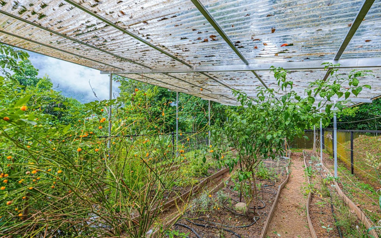 Off-Grid Regenerative Homestead, Perez Zeledon, San Jose