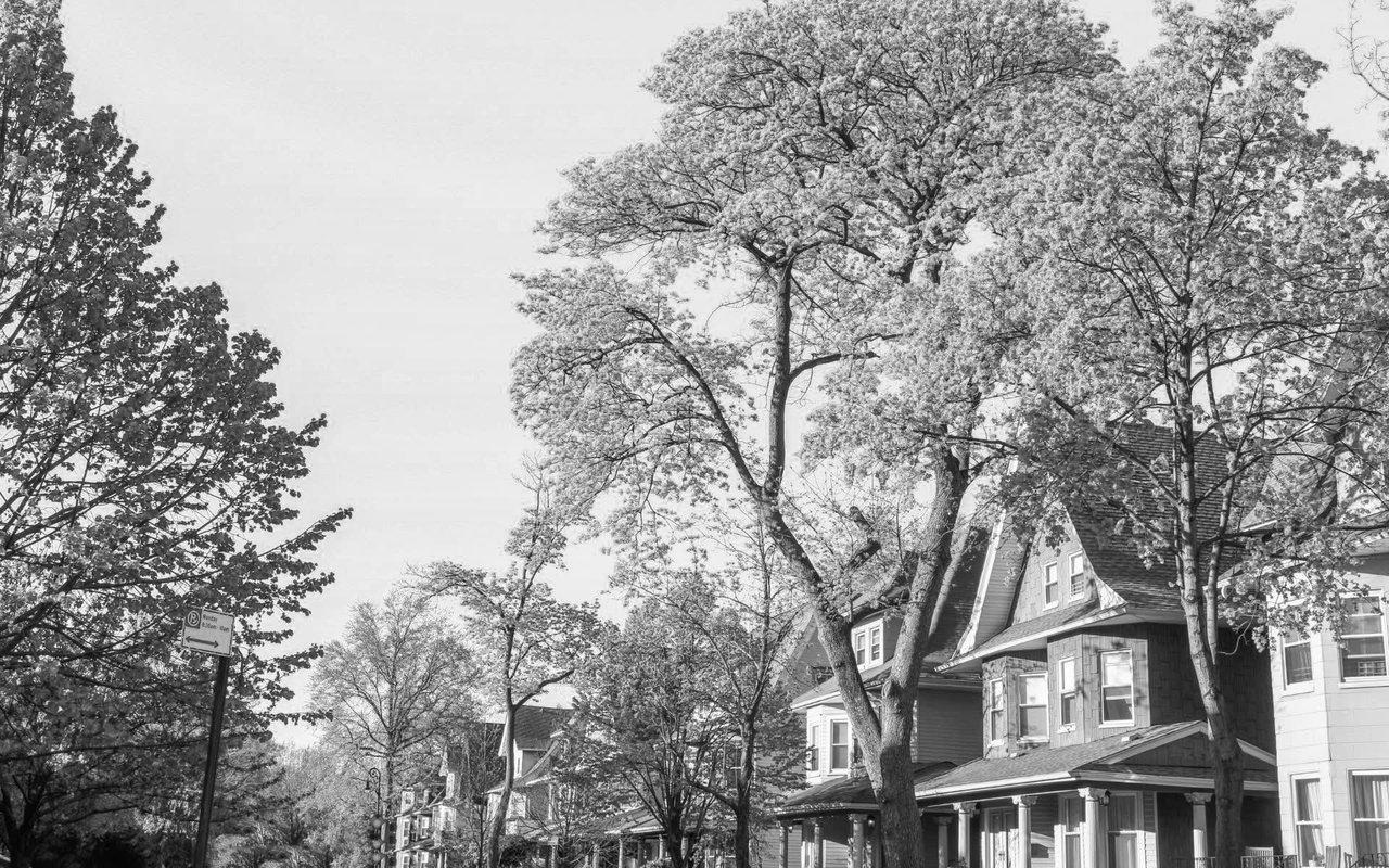 Ditmas Park
