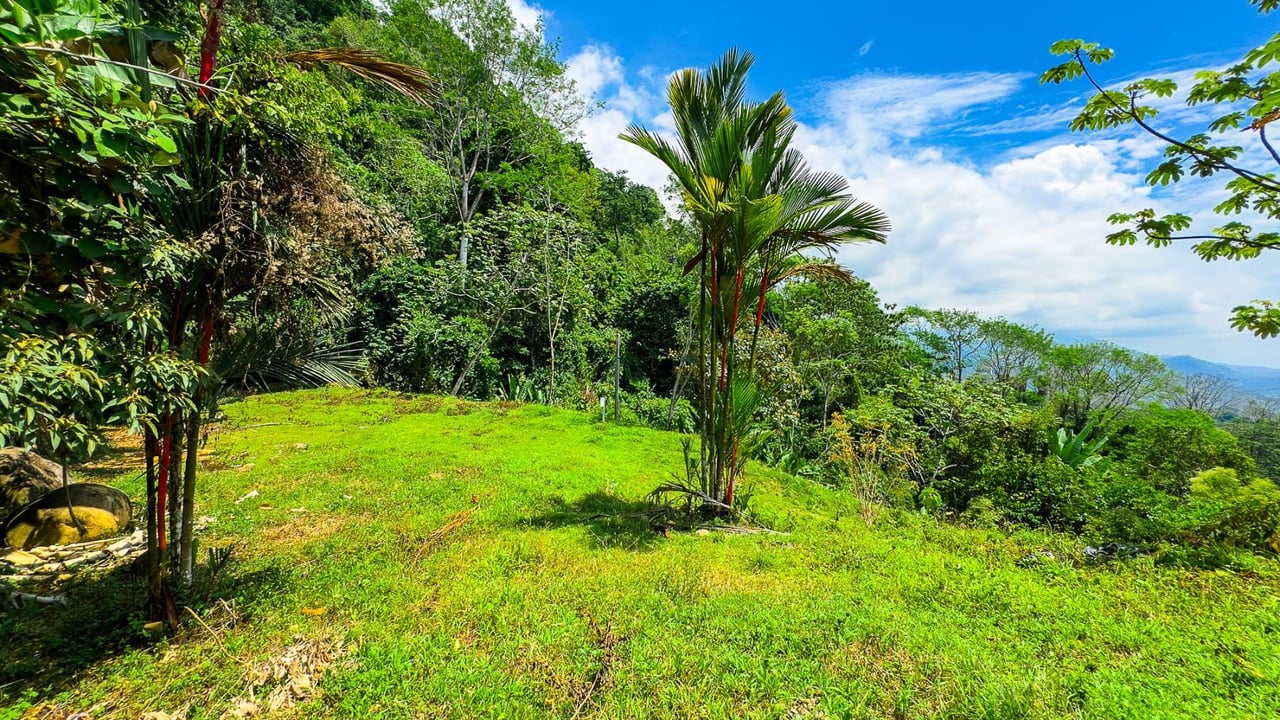 Ocean View Jungle Homesite, Ojochal, Puntarenas