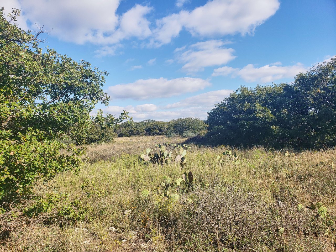 McCulloch Tract 1