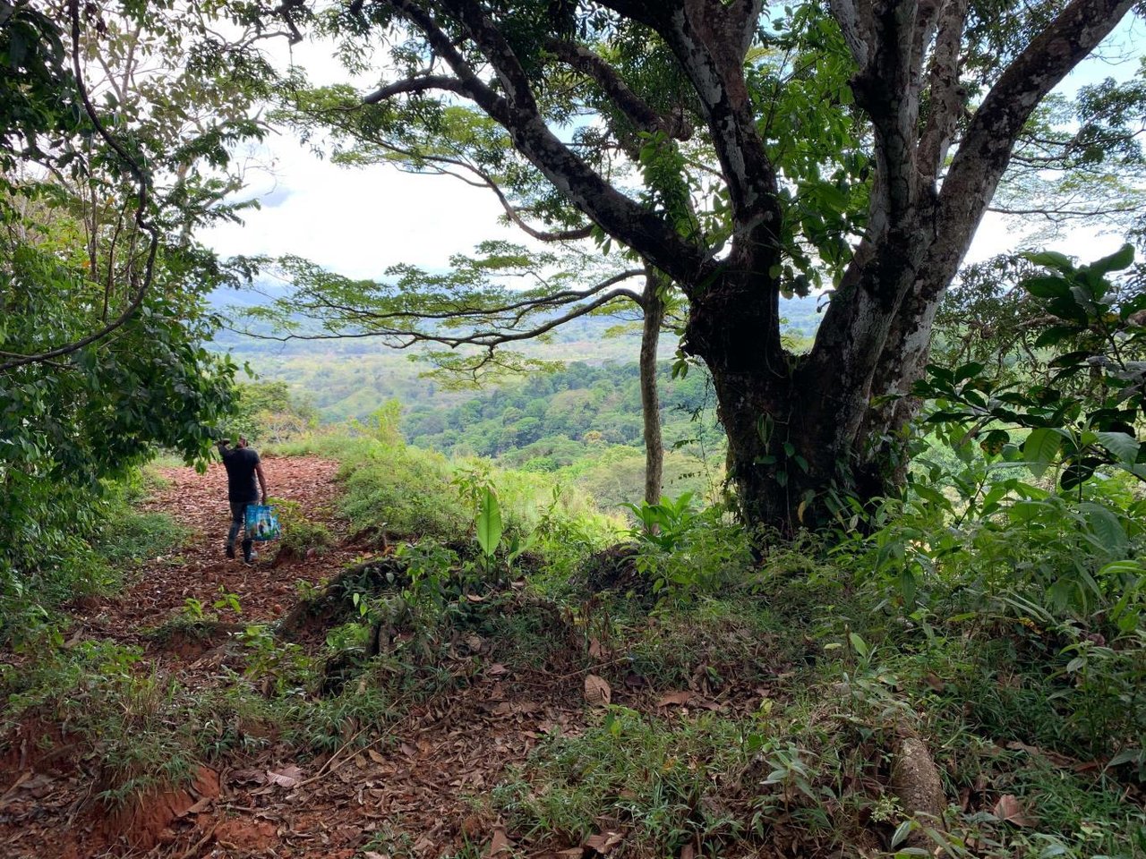 Prime 286-Acre Ocean View Property for Sale Near Quepos, Costa Rica – Ideal for Development