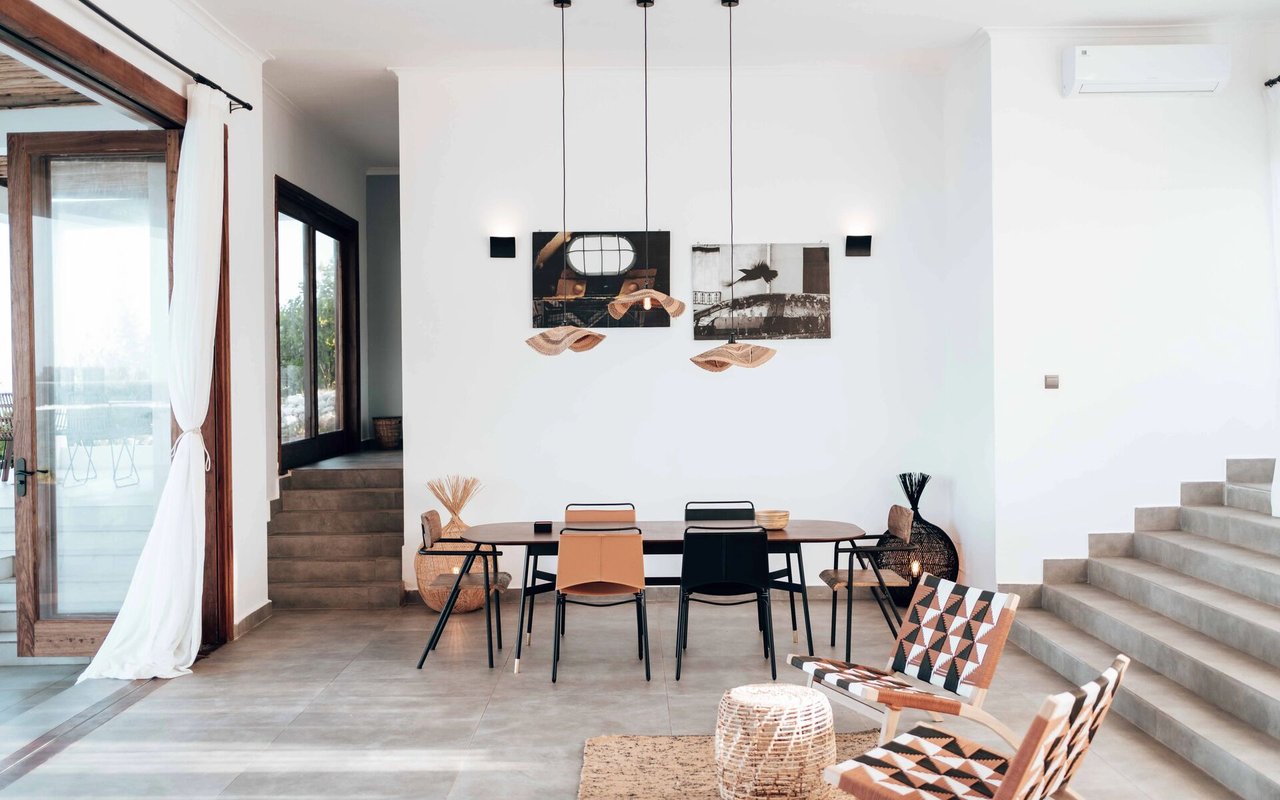 Jade Plants: The Simple Way to Beautify Your Home