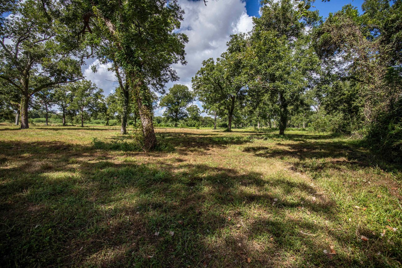 Lovers Lane River Ranch | 140± Acres | DeWitt County