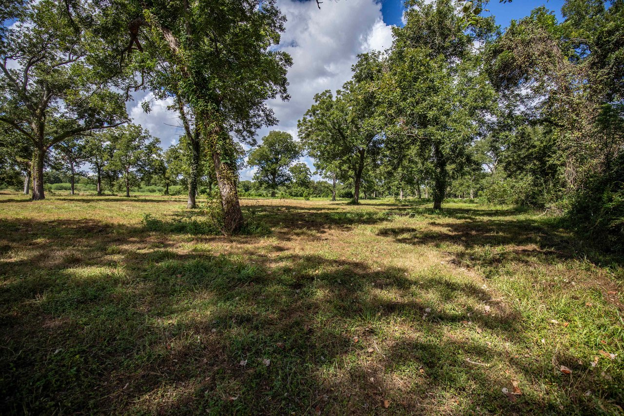 Lovers Lane River Ranch | 140 +/- Acres | Call for Pricing