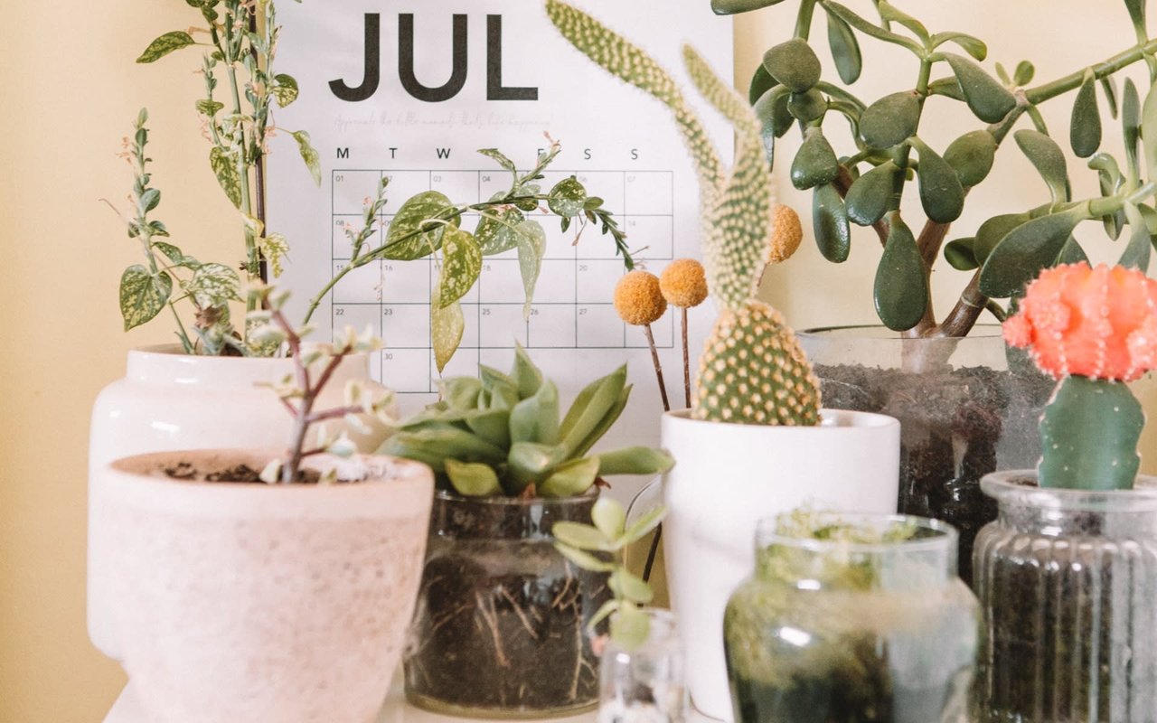 July 2021 Newsletter