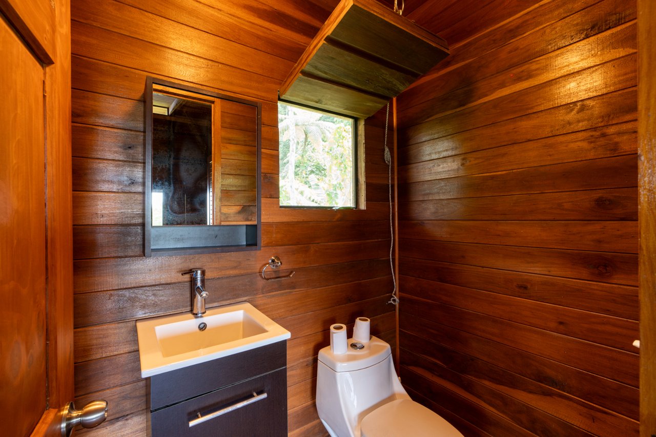 Mountain View Cabin With Pool, Perez Zeledon, San Jose